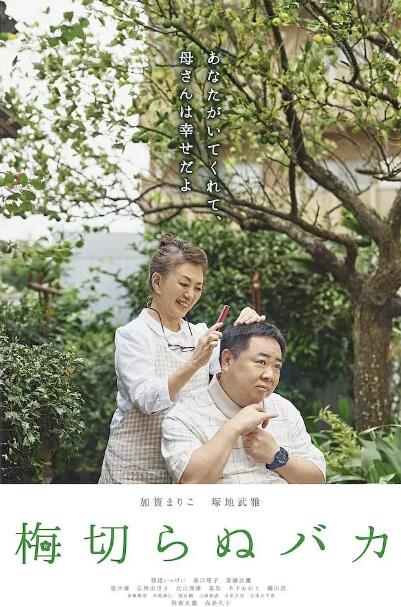 嘟嘟嘟www手机视频在线观看