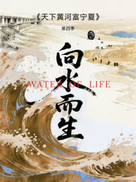 有你有我足矣