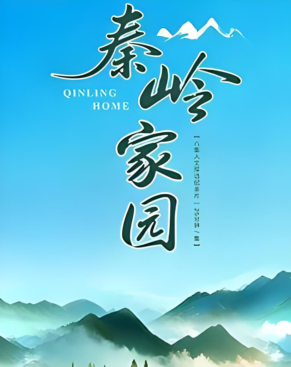 打飞机视频网站
