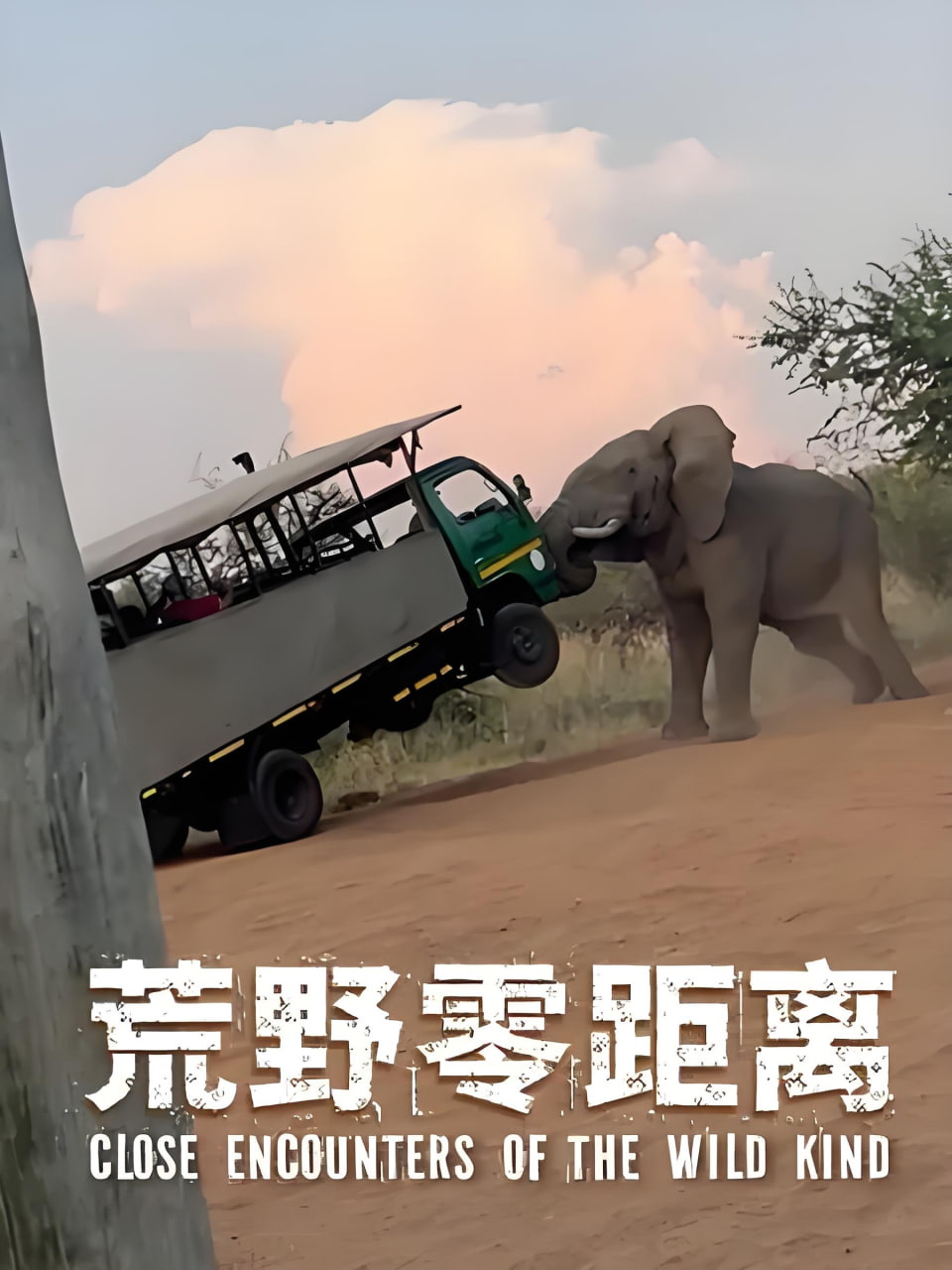 中文在线观看电视剧