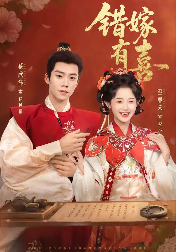 嫂子的职业电影