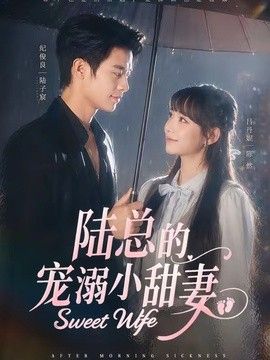 我和黑帮大佬三百六十五日第四季讲的什么