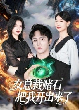 鲁班大师播放日本电视剧