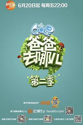 鲁大师观看视频