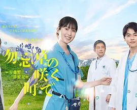 成年人免费看