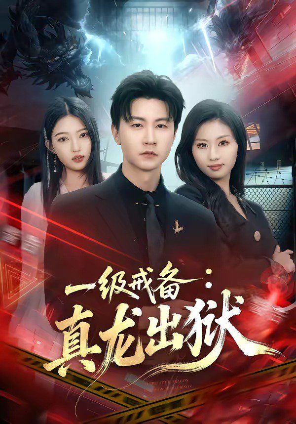 上流社会免费