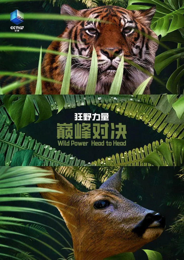 最近高清中文在线国语字幕